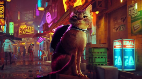 Anuncian película de Stray, el videojuego de PlayStation que te convierte en gato