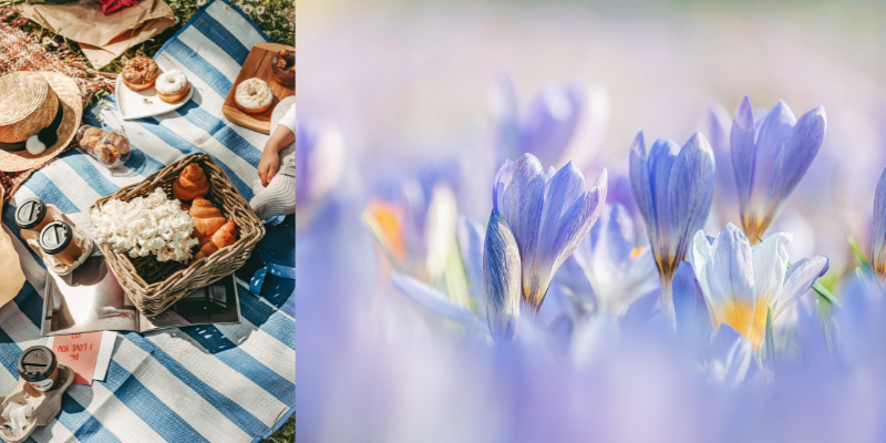 Arma tu propio picnic y disfruta de la primavera en CDMX con Uber