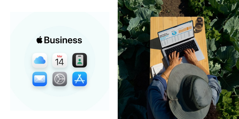 Apple Business es la nueva plataforma para impulsar empresas de forma simple y segura