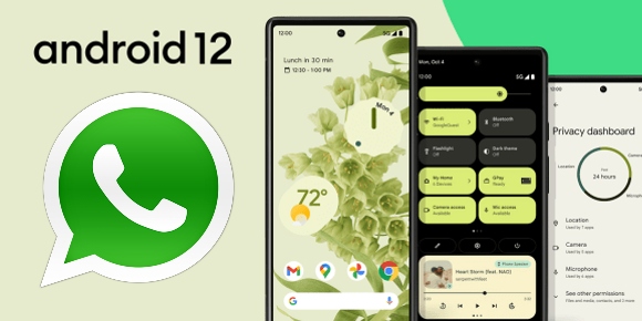 El historial de WhatsApp ya se puede transferir de iOS a Android 12