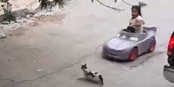 #VIRAL: Tras 'atropellar' un gatito, hicieron su sueño realidad