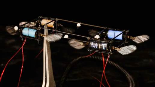 Científicos crean robots luciérnagas 