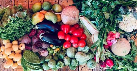 #QuédaTechenCasa: Este Huacal de hortalizas es puro amor a domicilio