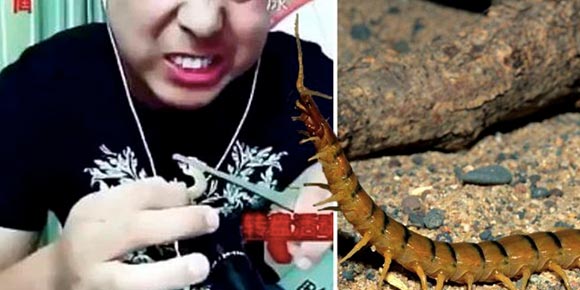 Muere YouTuber tras hacer el reto de comer insectos 